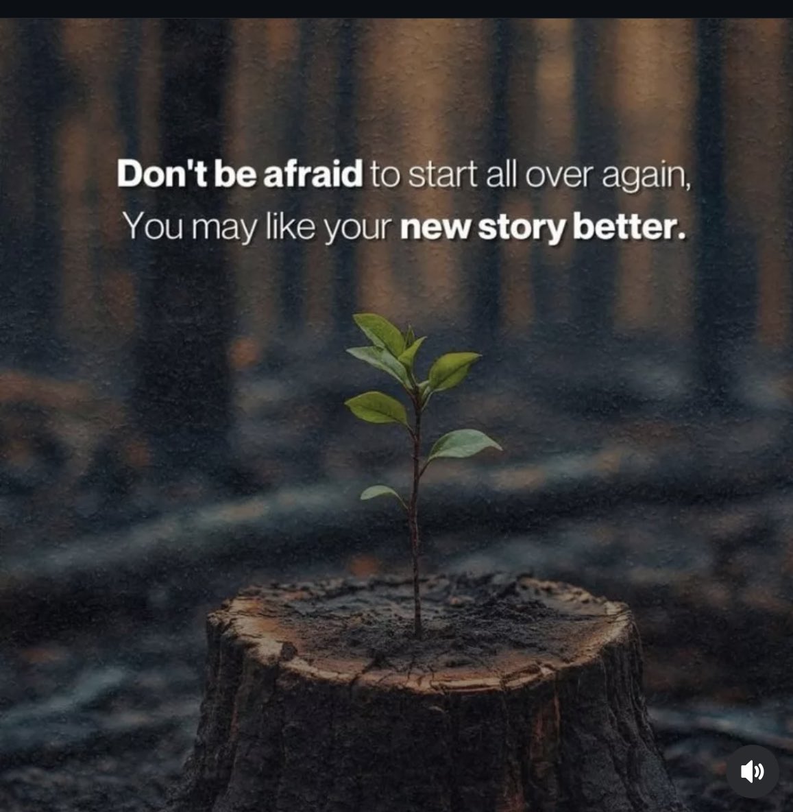 newleaf tweet media
