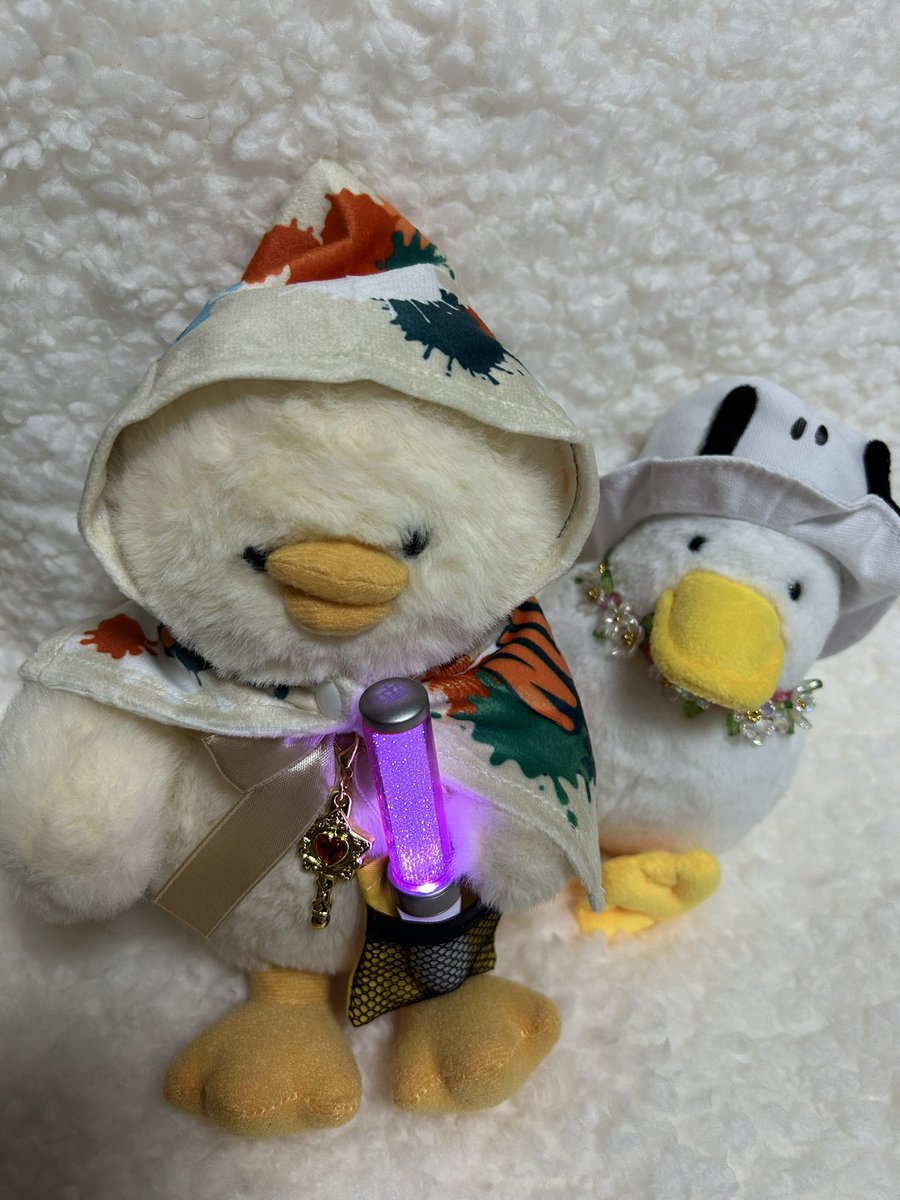 marumarunosekai's tweet photo. ぬい用フェスグッズのガチャで出た
フード付きタオルとサコッシュを着用したものの、首がパツパツなピーナッツちゃん🥜
#ぬい用フェスグッズ 
#ガチャ 
#もちっとダック 
#ブルーブルーエ 
#ぬい活 https://t.co/kmHfaKJOv5