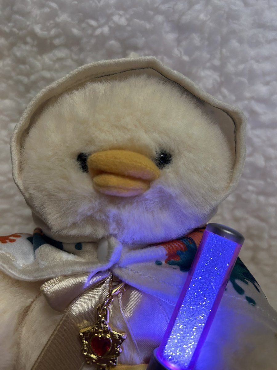 marumarunosekai's tweet photo. ぬい用フェスグッズのガチャで出た
フード付きタオルとサコッシュを着用したものの、首がパツパツなピーナッツちゃん🥜
#ぬい用フェスグッズ 
#ガチャ 
#もちっとダック 
#ブルーブルーエ 
#ぬい活 https://t.co/kmHfaKJOv5