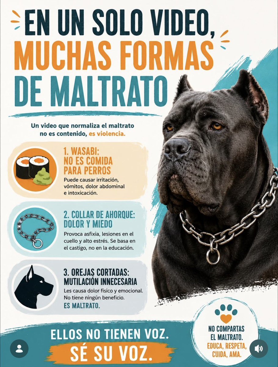 patriciaoliva13's tweet photo. @eldesconcierto @TurkiAntof Muy bien, los animalitos son seres sintientes, no mascotas para presumir y maltratar.
    Que sirva de ejemplo para otros que hacen lo mismo yNO MALTRATEN a nuestros hermanos menores.
    Fuera de las redes @josefa_saezr y fuera de @Falabella_cl https://t.co/KTzmlVZTai