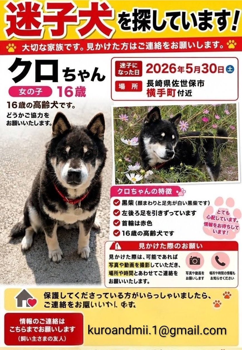 chiisanacha's tweet photo. 佐賀県在住の方へ
7月27日から7月31日まで唐津ケーブルテレビで行方不明のクロちゃんの文字情報が流れるのでSNSをやらない方々にも知ってもらえるように拡散お願いします。
行方不明になった自宅から遠くないので見かけたや些細な情報でも構わないので連絡お願いします
kuroandmii.1@gmail.com https://t.co/2nXDK3nDev