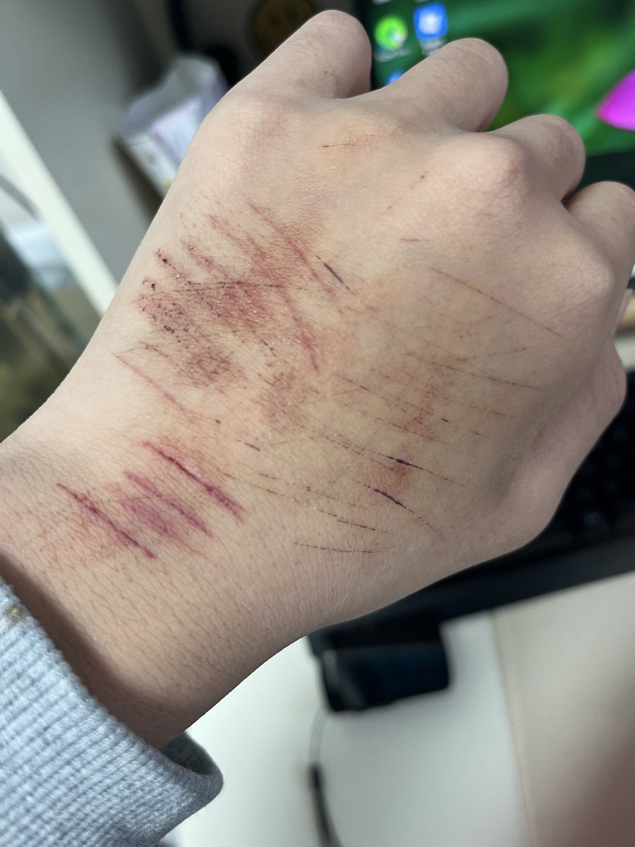 ycy_manta's tweet photo. 사진이 없어😭🖕🖕🖕 https://t.co/Yv387ISMfN
