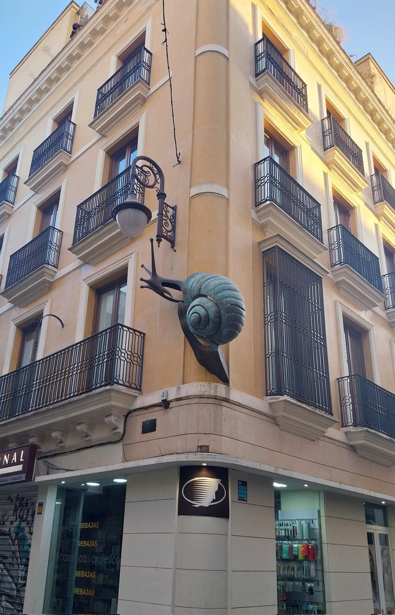 MRemiro76362's tweet photo. A huge bronze snail 😎🇪🇸 https://t.co/DSc3i9ETNu