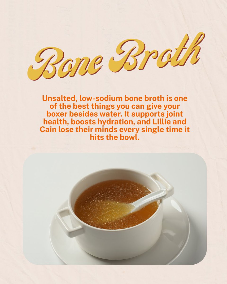 Boxer's tweet photo. Did you know your boxer can drink more than just water? 💧🐾 

Bone broth for their joints, coconut water after zoomies, oat milk as an occasional treat, and freshly diluted fruit juice on a hot day — your boxer's hydration just got a whole lot more interesting. https://t.co/DQZ11tuQGG