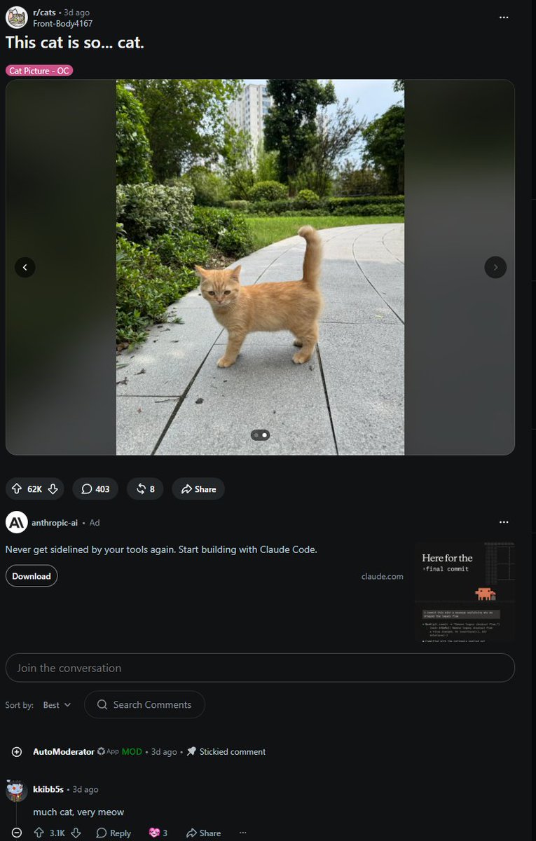 eudaimoniacx's tweet photo. i found an unnamed cat which is cute and viral 

lets just call it cat

https://t.co/28sG22bfb3 https://t.co/6GUSizYXkJ