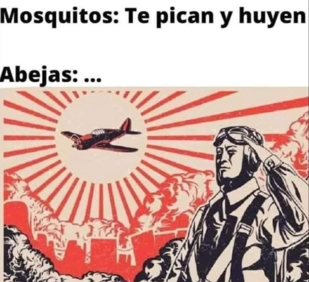Ana_LaPatata tweet media