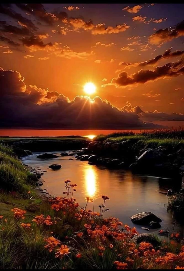 bionicanadian's tweet photo. #Haiku #DailyWisdomWords 

Serene silent peace

sunsets over lush verdant 

riverbanks bloom flowers!... https://t.co/1QgL76ZIBz