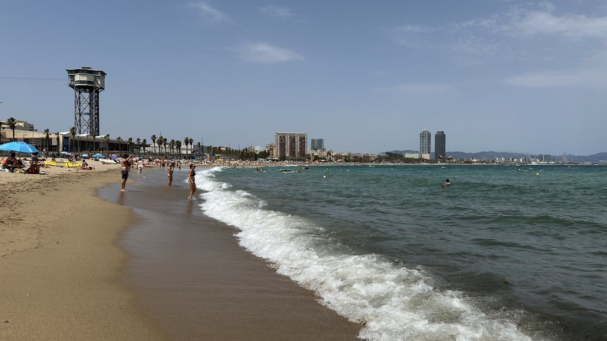 0519_mayo's tweet photo. 今日はちょっくら海辺に🏖️

暑いけど、海辺は涼しくて、パラソルを立てれば涼しい心地よい風が通ってウトウトできる😪

こんなに海が目の前&amp;30度越えなのに、湿度ムシムシじゃないの本当に不思議……（沖縄だと蒸し焼きな気がする）🤔　

こりゃ〜夏のバカンスで海辺に行っちゃう〜〜 https://t.co/1pcsetJnSH
