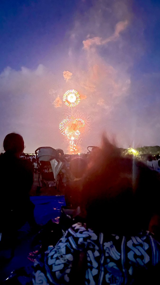 curse___you's tweet photo. 親戚たちと集まって袋井の花火大会🎇

🦖くんはじめての花火だったけど怖がることなく余裕のよっちゃマンだった🦸‍♀️

何より灰だらけでえぐかった꙳☄︎⋆꙳ https://t.co/P9UYoIMRFZ