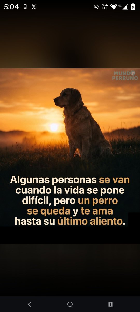 Luisgranate3's tweet photo. Nunca te van a abandonar aunque les cueste su vida , tú no lo hagas ni los maltrates son tu familia! ❤️🤗🤗 https://t.co/NTm4sy2hrk