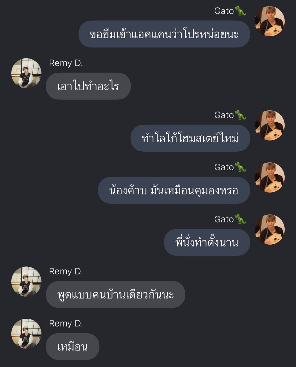angelenvie's tweet photo. ทุกคนอ่านกาโต้หลานชั้นเหอะขอร้อง ๆๆๆๆ ทำให้อารมณ์ดีมาก ๆ อะ จากเราที่โมโหร้ายกลายเปนหมาบ้าไล่กัดคนตอนนี้ เราเปนหมาเหมือนเดิมแค่ยังไม่บ้า https://t.co/uoVV70UHnf