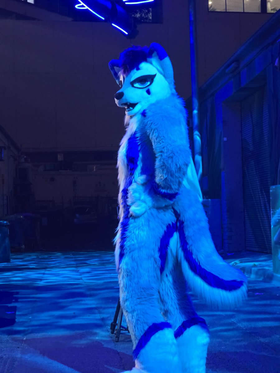 Mikewolf2018 tweet picture