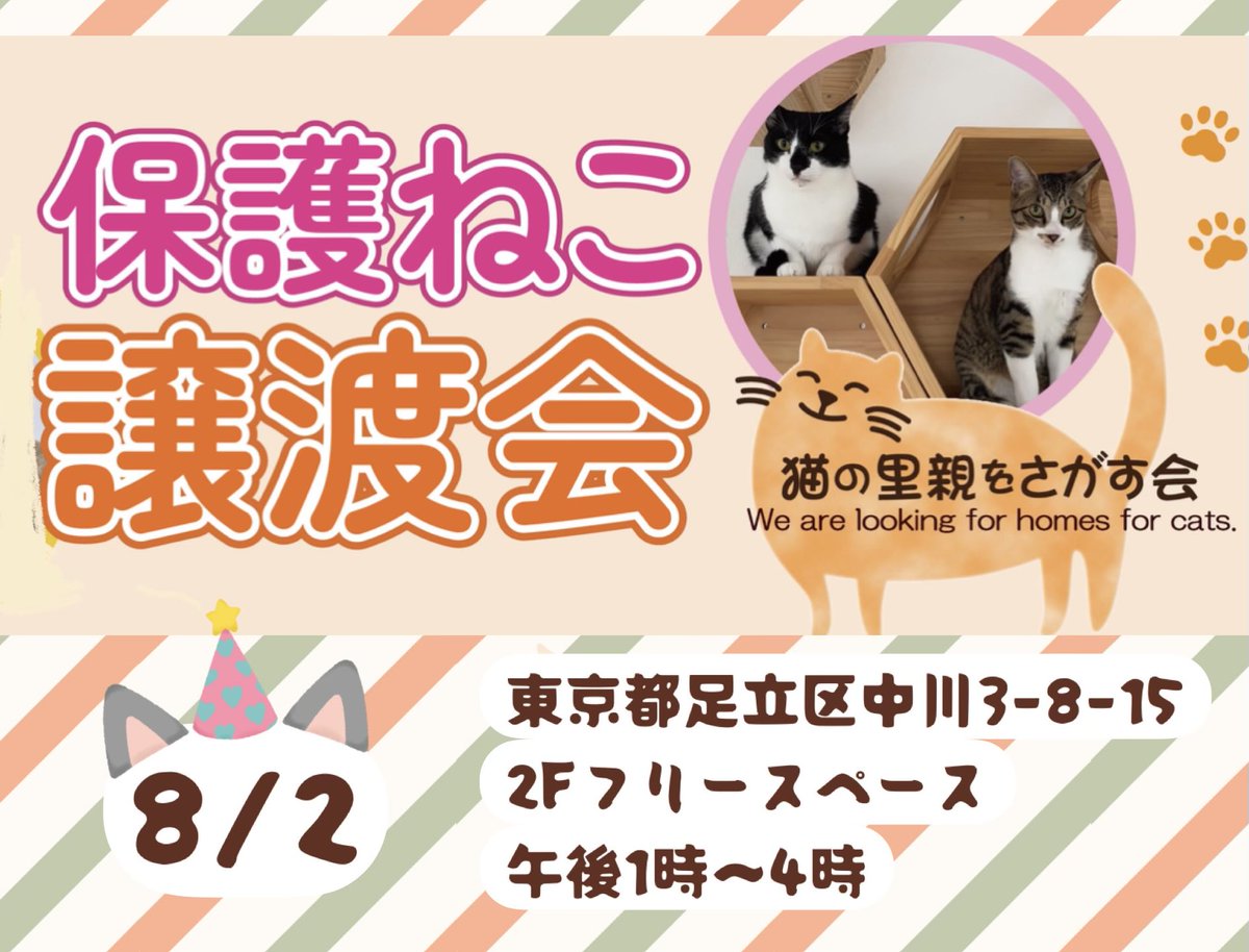 shosukereiko's tweet photo. 保護猫譲渡会のお知らせ

8月2日（日）午後1時〜4時
東京都足立区中川3-8-15
亀有駅北口から徒歩11分
ルイスのお家.カフェ 二階フリースペース
★お車は近隣のコインパーキングをご利用下さい
※当日は一階「マルサンカクシカク」さんが出店✨

＃足立区葛飾区猫
＃保護猫譲渡会 https://t.co/Jygo5iebat