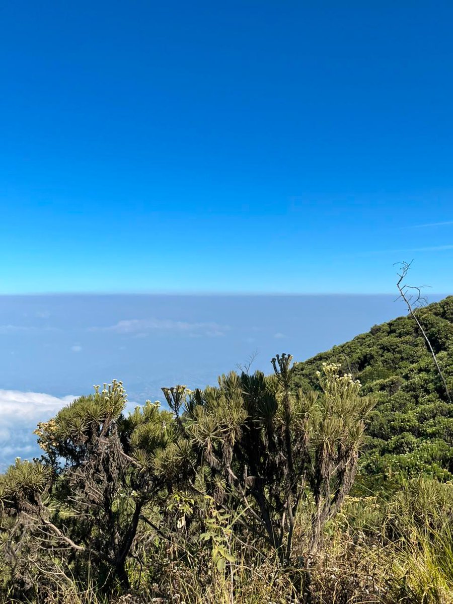 Zia1712's tweet photo. Mendaki gunung lewati lembah,sungai mengalir indah ke samudra, bersama teman bertualang. https://t.co/dvfZ7rGxfP