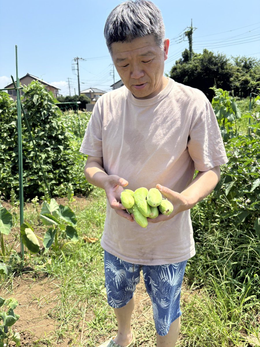 伍雷(吊证律师) tweet media
