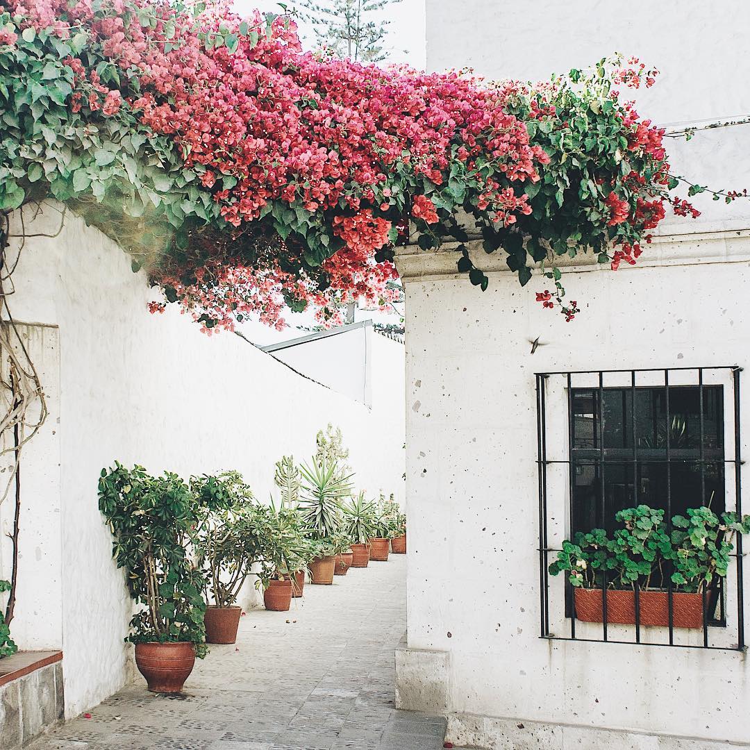 StevenHarr5g's tweet photo. Hello, I had a day off Instagram and I'm catching up with your photos, next month I'm offering a free online travel photography workshop, who's interested? https://t.co/0MRHmp7zYn