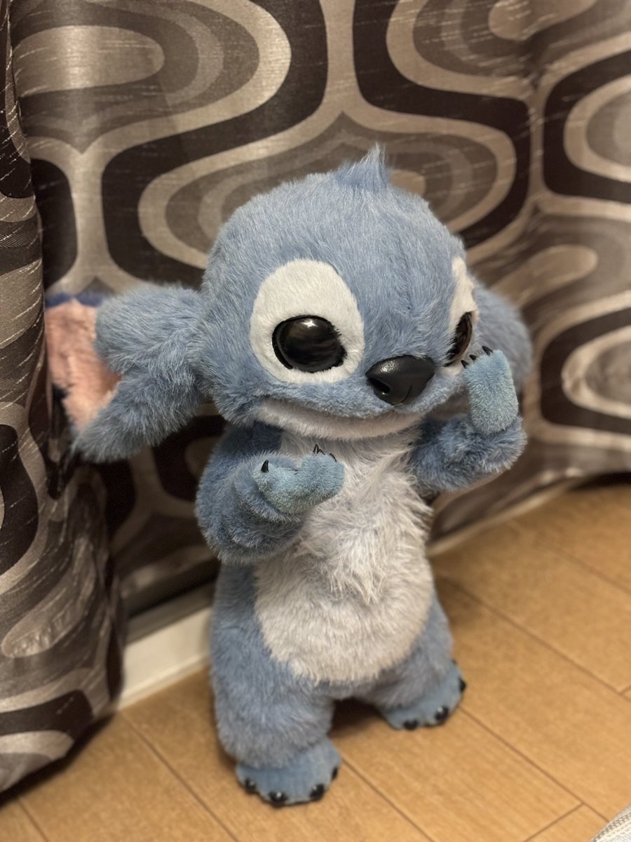 oorer_chi20's tweet photo. スティッチ メニゴミハイッタ https://t.co/KWGta8Emcz