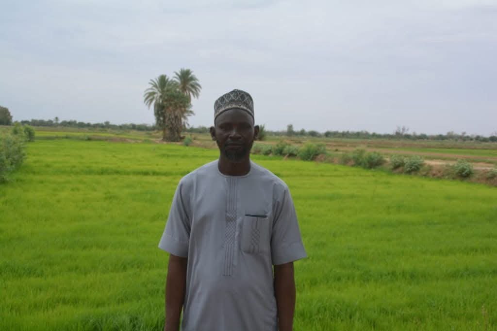 VoxelAC's tweet photo. #Niger 🇳🇪 | #agriculture : Programme grande irrigation : la commune de #NDounga bénéficie de l’aménagement de 600 ha pour la culture du riz (AD) 

Dans le cadre du programme grande Irrigation (PGI), la commune  bénéficie d’un programme d’aménagement d’environ 600 ha pour la production  du riz, a indiqué à l’ANP l’Administrateur délégué de la commune rurale l’Adjudant-chef Ibrahim Lawali, tout en assurant que les études sont en cours, mais presque finies. « On attend incessamment  les débuts des travaux », a-t-il fait savoir.