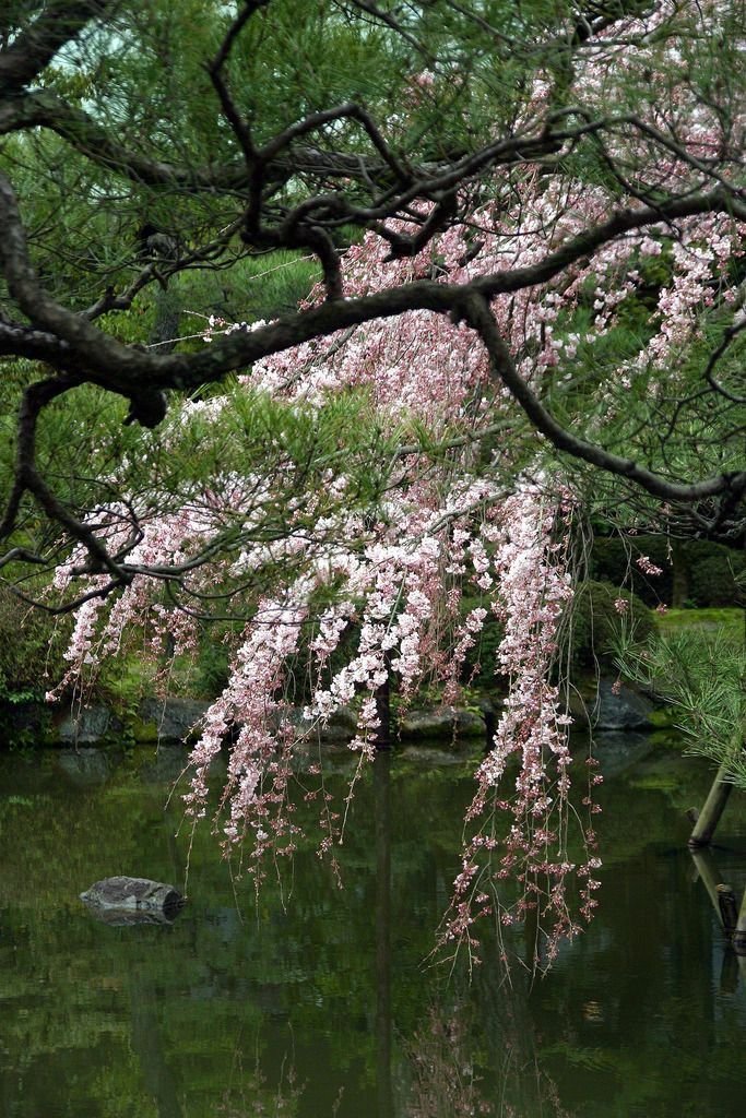 elemmiressoul's tweet photo. ˚˖𓍢ִ໋🌾˚ྀ࿐ https://t.co/1VEKyVDsDS