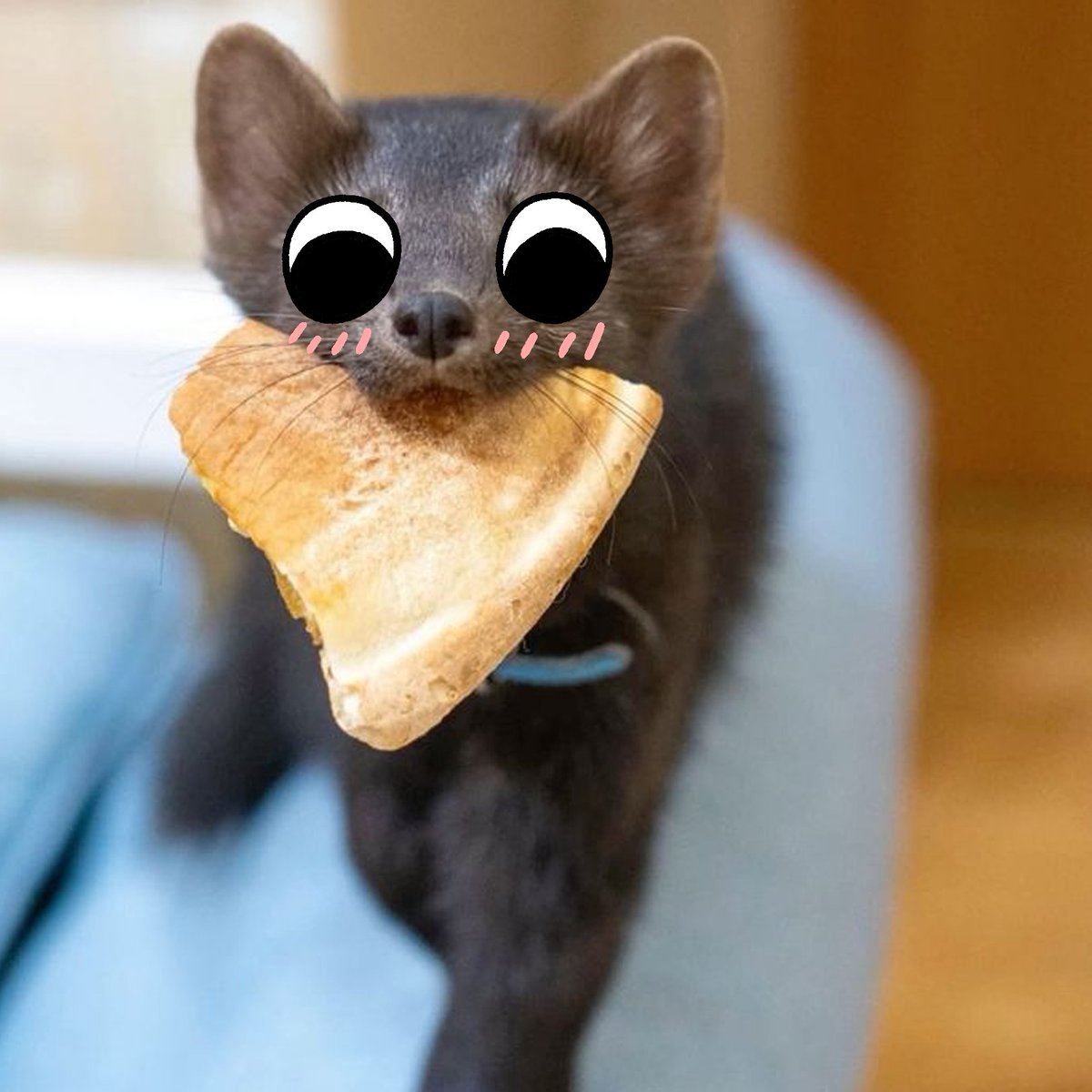 thecatidk's tweet photo. His favor food #sable #animal #art https://t.co/OgDOctEqu8