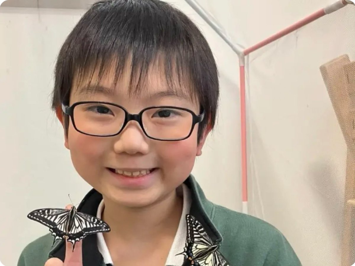 awkwardgoogle's tweet photo. A Japanese boy noticed his butterflies seemed to recognize him.

he spent two years designing an experiment and proved that metamorphosis does not erase memories formed during the caterpillar stage. https://t.co/fRgoo1DxI2