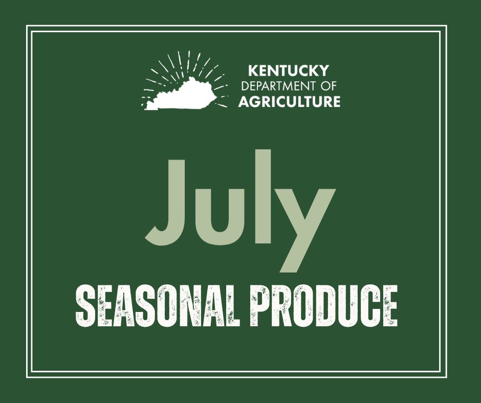 kentuckyag's tweet photo. It's the month for July produce! Celebrate the season by enjoying fresh, local fruits and vegetables like tomatoes, corn, berries, cucumbers, and zucchini. Eat seasonal, support local, and savor summer's best flavors! 🌞🥕 https://t.co/fuREsYxjnI