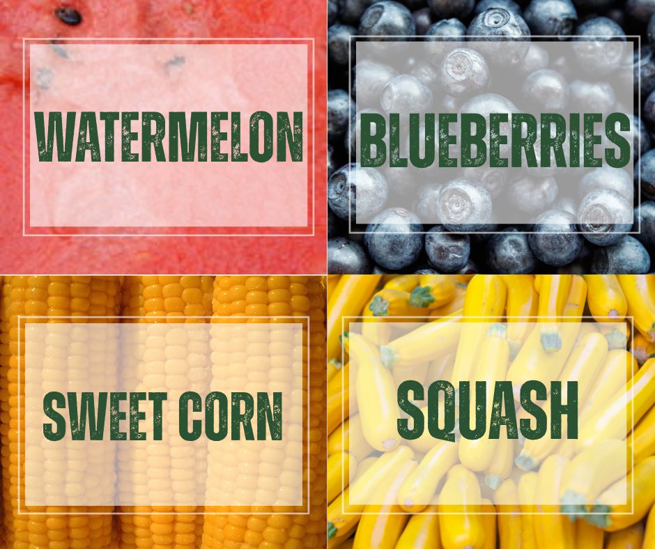 kentuckyag's tweet photo. It's the month for July produce! Celebrate the season by enjoying fresh, local fruits and vegetables like tomatoes, corn, berries, cucumbers, and zucchini. Eat seasonal, support local, and savor summer's best flavors! 🌞🥕 https://t.co/fuREsYxjnI