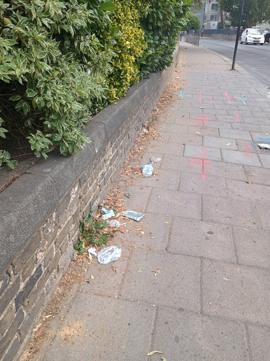 WorkRestYoga's tweet photo. @lambeth_council We pay for street cleaning and yet the service is poor and potentially dangerous with plant debris littering the pavements on Leigham Court Road, not to mention other roads. Action please? https://t.co/6JpinQOZwU