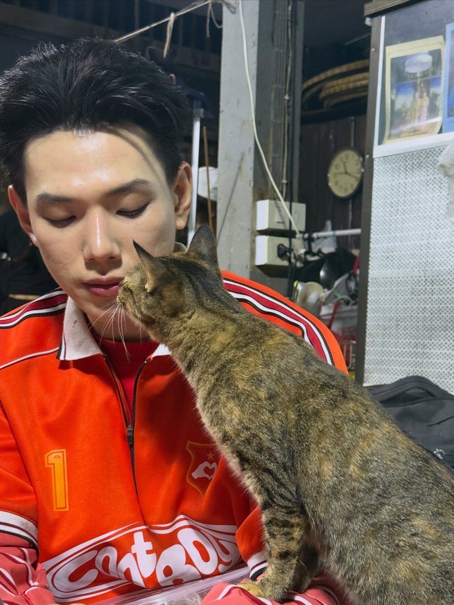 ccactusbby's tweet photo. สมกับเป็นจ่าฝูงแมวจังเลย อู๋เป็นที่รักของสิ่งมีชีวิตทั้งโลกจริงๆ น้องจะมาจุ้บๆ ด้วยㅠ ㅡ ㅠ🤲🏻🐈

#คนเดือดทวงแค้น #ต้าห์อู๋ 
#DAOU #oueiija @oueiija https://t.co/5aPIDolq85