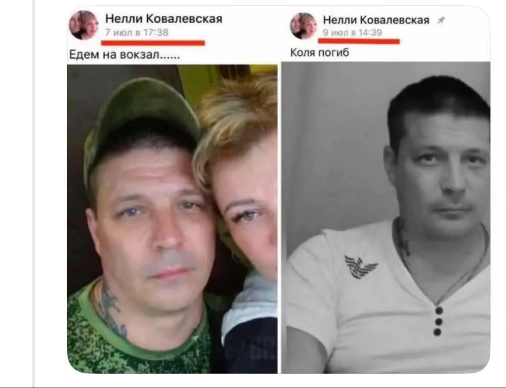 Баба і кіт tweet media