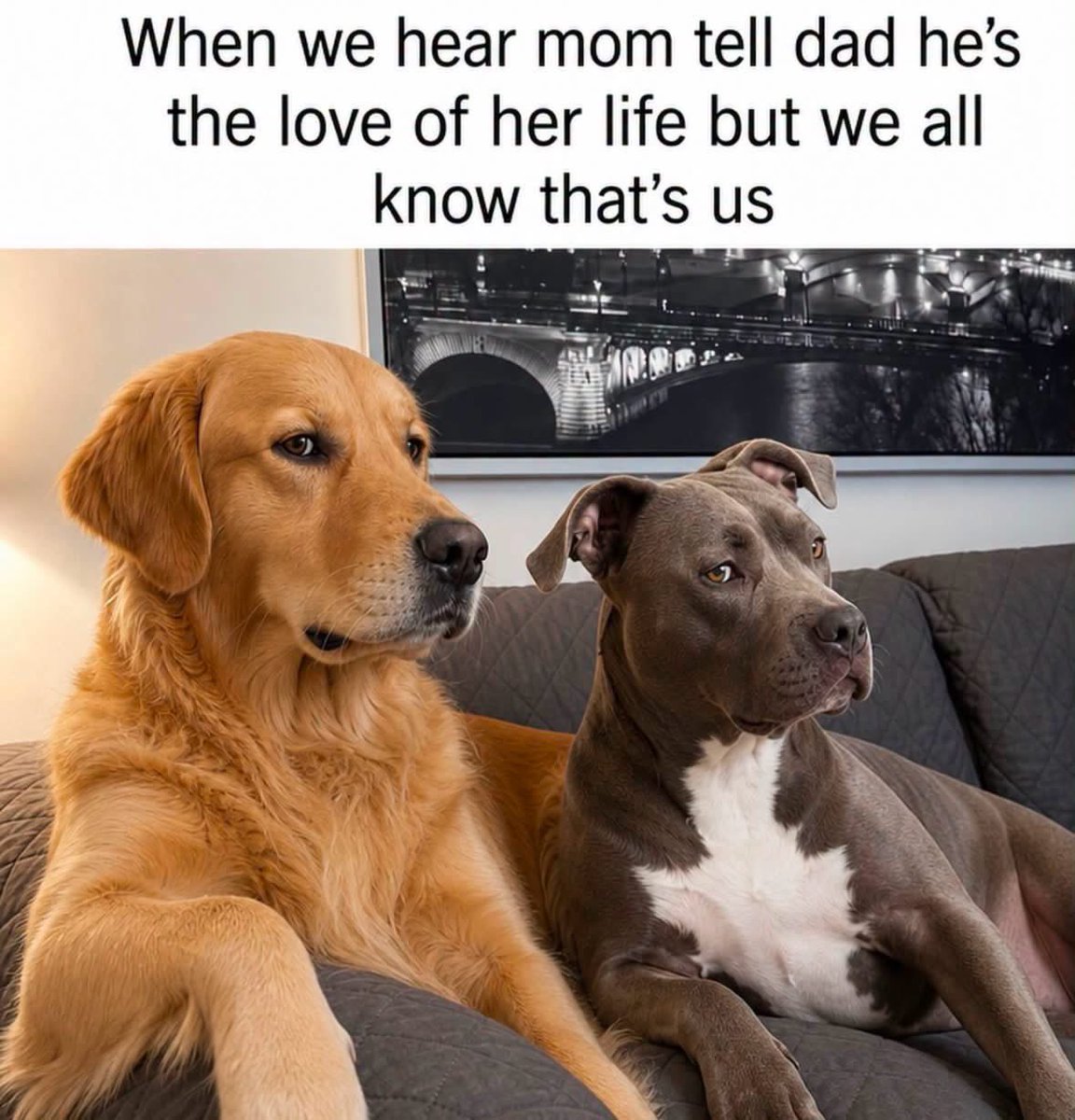 DabbKen's tweet photo. It’s true https://t.co/quch65Ra7X