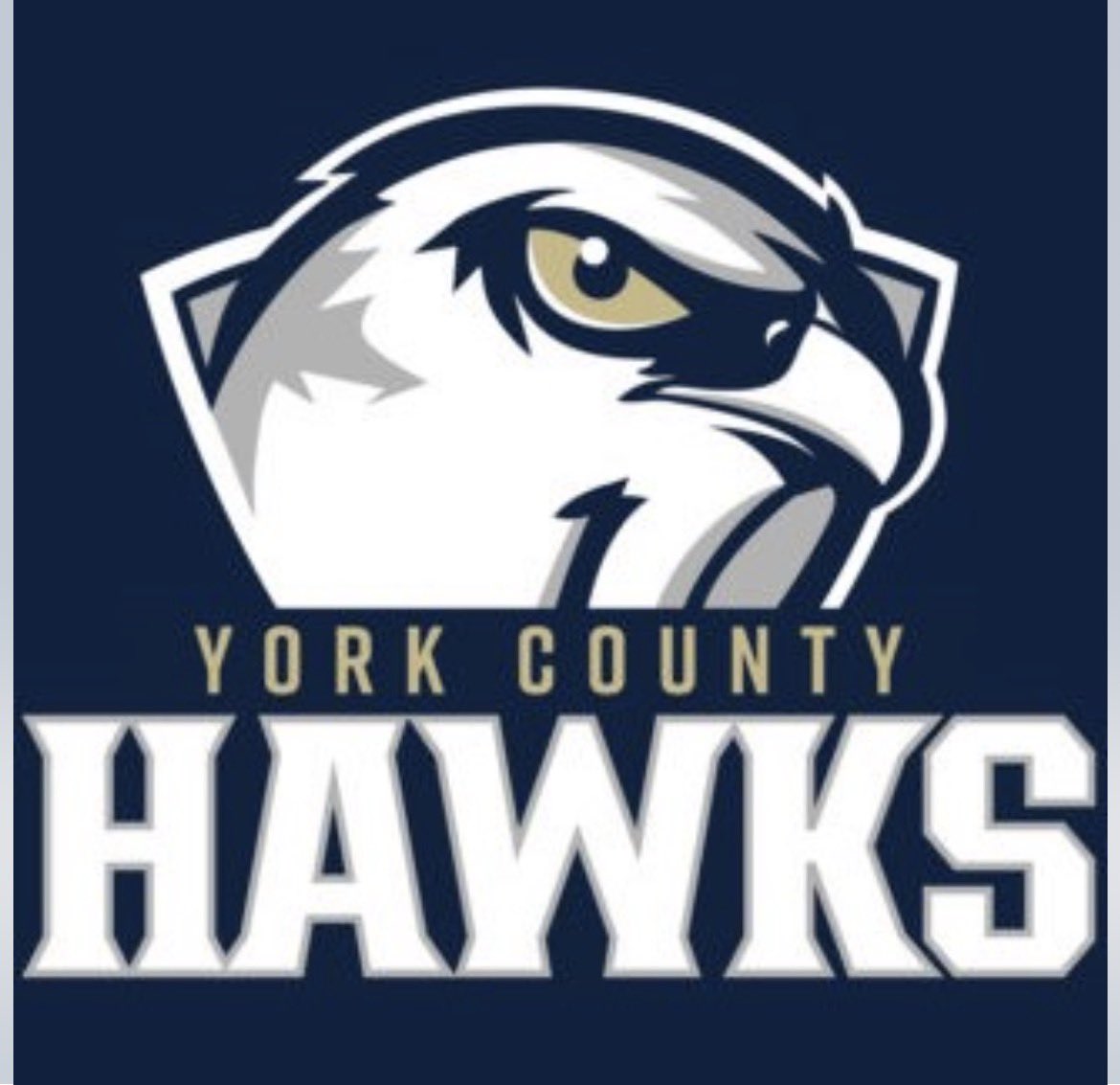 Tavon_Burrell's tweet photo. After a great conversation with Coach Meserve, I am more than blessed to receive my 7th offer from @YorkCountyHawks #gohawks https://t.co/rACjiKzXwc