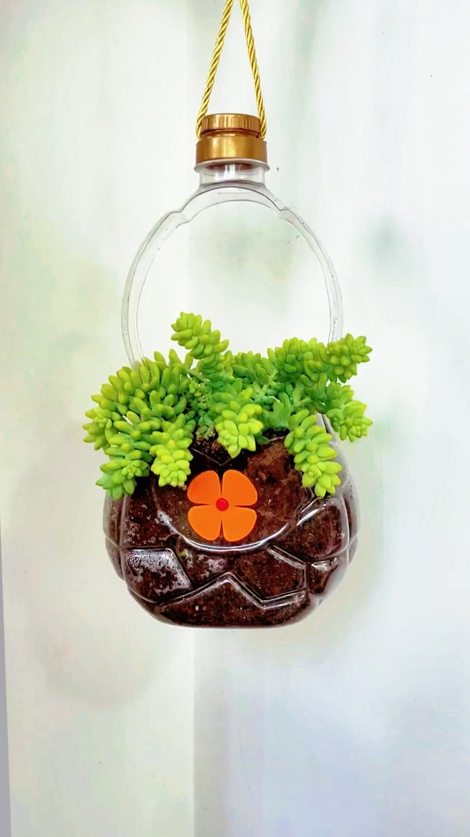 _nomoregoodbyes's tweet photo. DIY mini flower pot from recycled cans! Super easy, zero cost, perfect for small succulents  #DIYCrafts #UpcycleFun https://t.co/1JanreLg9G