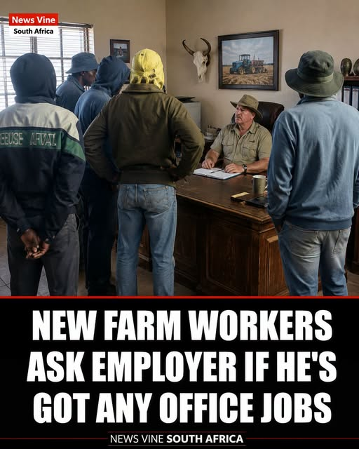 Mufasa0062's tweet photo. MPUMALANGA  — Newly employed South Africans on a farm have reportedly asked their  employer whether he has any office jobs available, just hours after  accepting positions previously occupied by foreign workers. https://t.co/BgHe0FcuH7