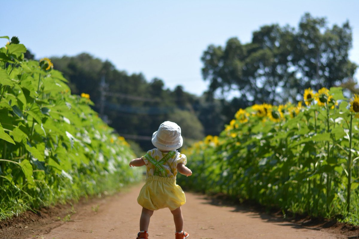 uchinokokawawi's tweet photo. 旦那が撮ってくれたムッスメが良すぎるから見てくれ https://t.co/ITrSxbUXWd