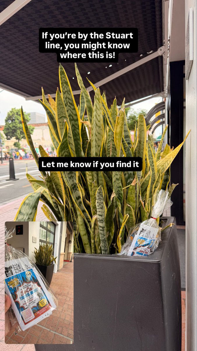 SoCalTravelBlog tweet picture