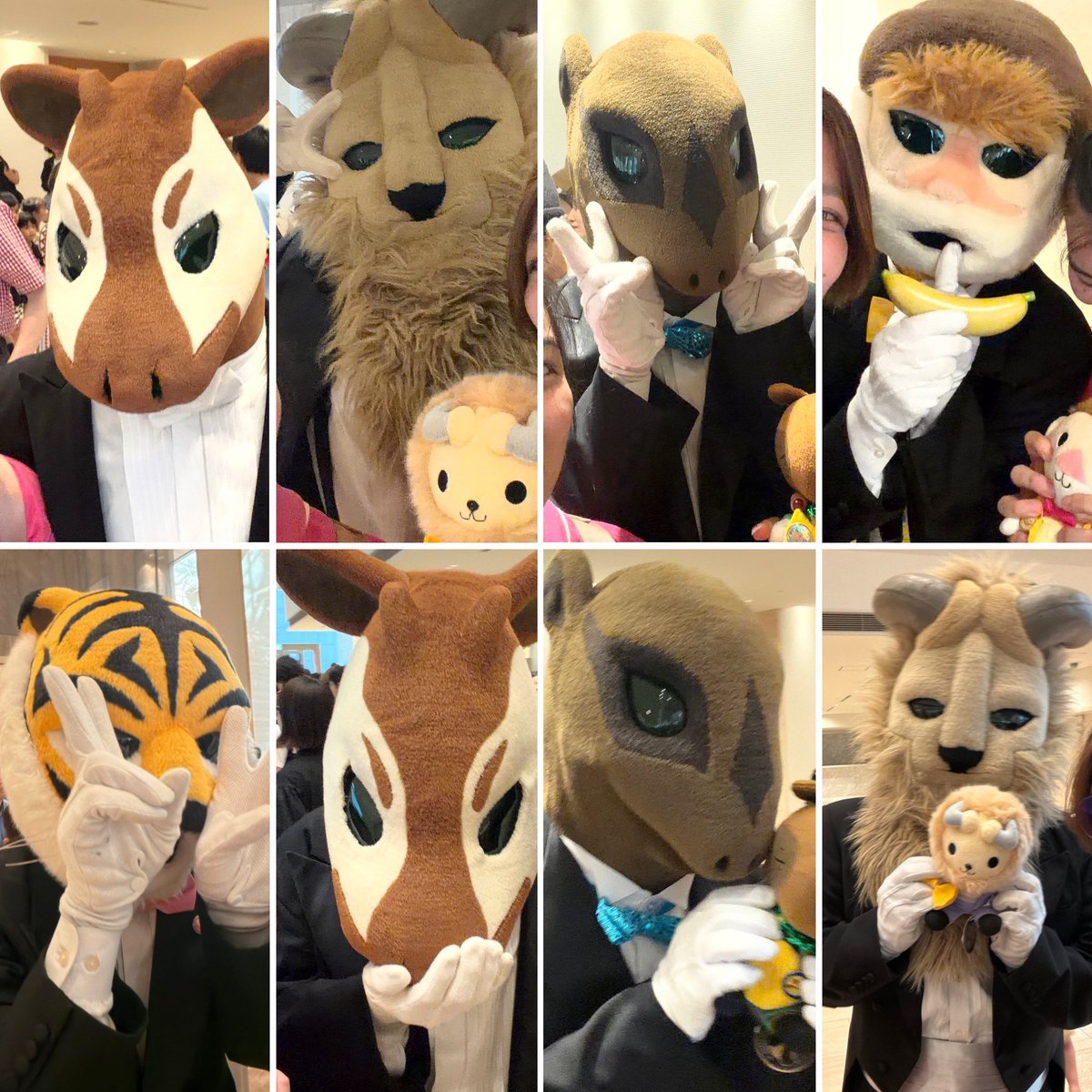 nm367112's tweet photo. 本日は  #ズーラシアンブラス の音楽の絵本withパイプオルガンへ!!
オルガンの音色やっぱり好きです🫰もっと近くで聴いたらどんなかなぁ🙄
バクさんのホースで演奏も凄かった😳ᩚ

今日はお見送り時の治安が悪くて､､､🥲
けどお話も出来たしいっぱい撮れた📸

次は明日の常陸大宮!! https://t.co/8HxIeMKw1b