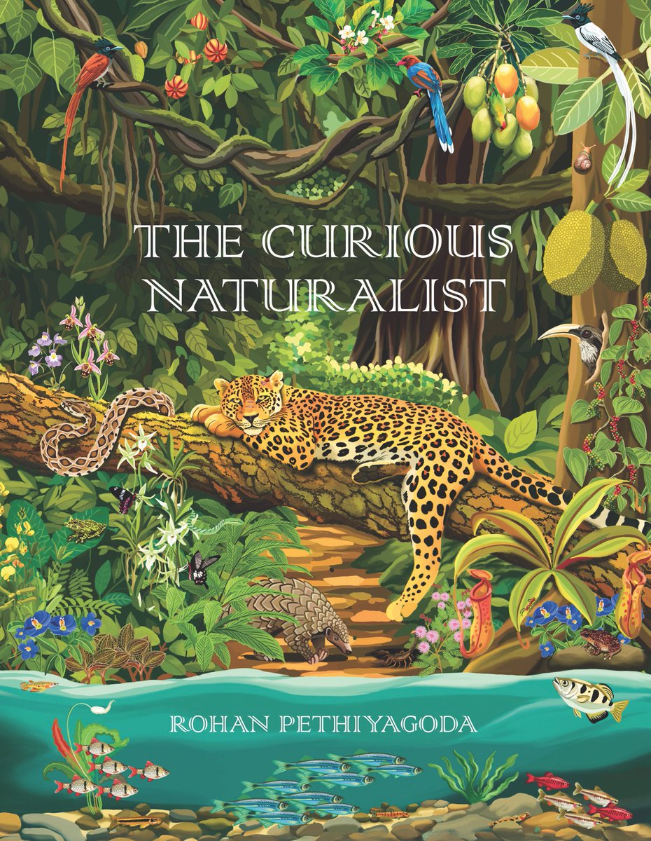 wnpssl's tweet photo. The book will be launched at 5 p.m. on 30 July at Jasmine Hall, BMICH. It will be available at a special pre-launch price of Rs. 5,000 at the launch. All are welcome, https://t.co/2I5z1dXCRk