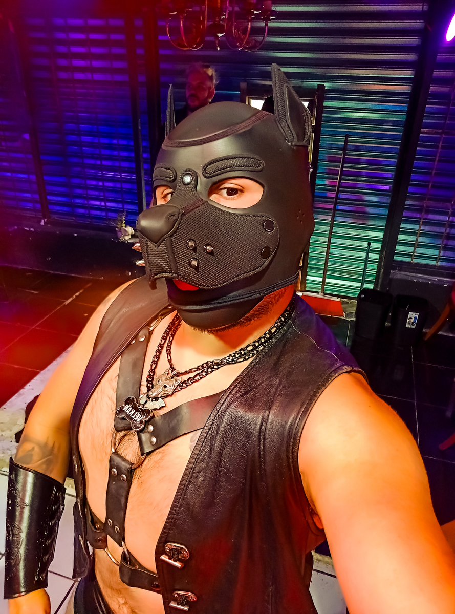 puppyvelkan's tweet photo. El look para la conferencia en @DOMUSCC  celebrando el Día internacional del BDSM 

#DiainternacionaldelBDSM #worldBDSMDay 
#puppiesmx  #humanpuppy  #gaypuppy  #puppyplay  #leatherpuppy #mexicanpuppy https://t.co/OuIpIQLsQj