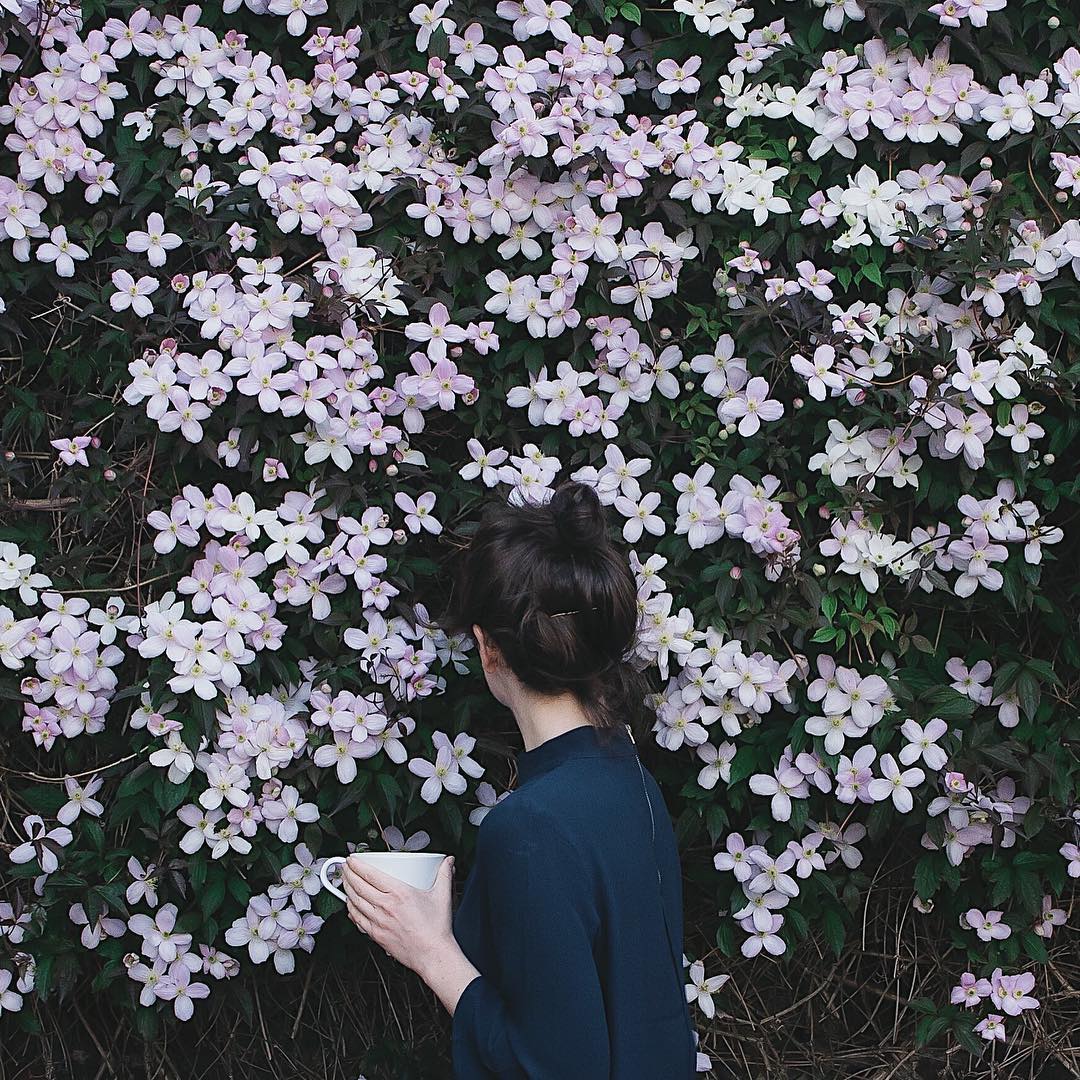 JessicaJonxro's tweet photo. The clematis is fading and I'm trying to hold on. I blame Ron the gardener. I'm researching my next blog post and I'd like to know if likes and follows really matter to you. https://t.co/1LjEPWxDYZ