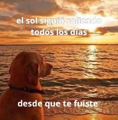 conoloracigarro's tweet photo. https://t.co/8O4ITtEtbx
