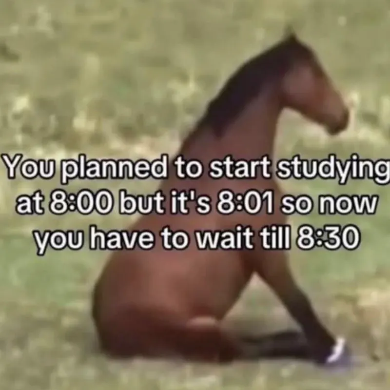 sillywhimsymeme's tweet photo. https://t.co/AHf87WmLcK