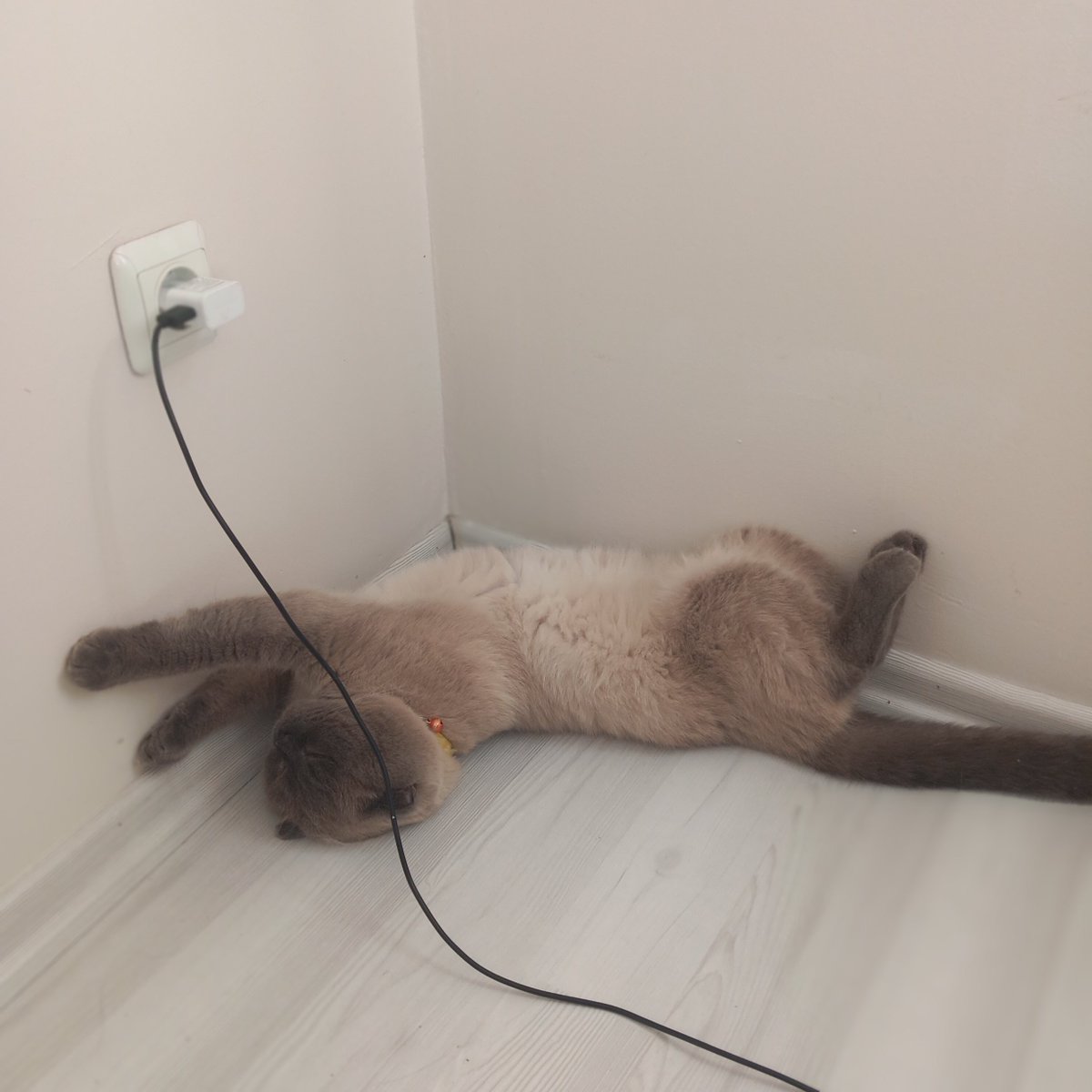 Kaderfikl's tweet photo. Keyfime diyecek yok uyumayı seviyorum https://t.co/EcppwoP2p7