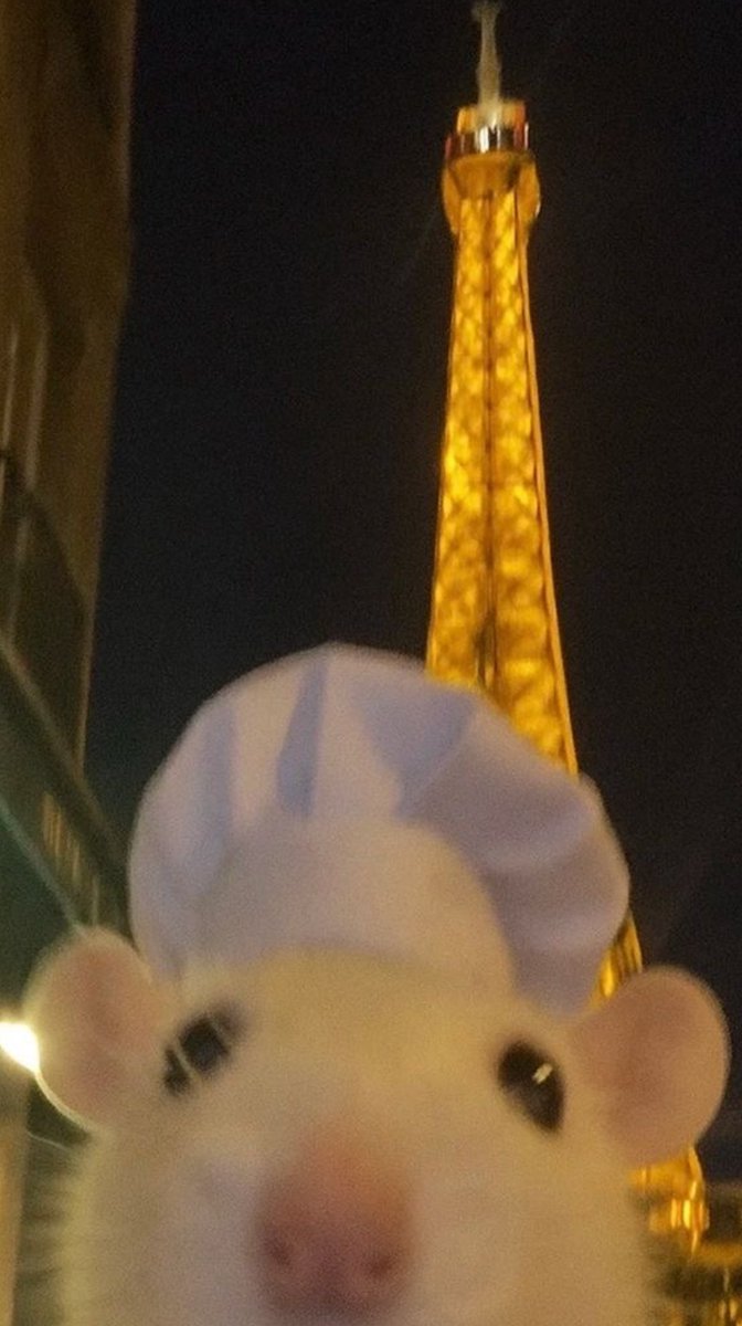nukady10's tweet photo. โอ้มายก๊อดด รัททาทุยย : เค้านี่แหละคือดีไซเนอร์ตัวจริง