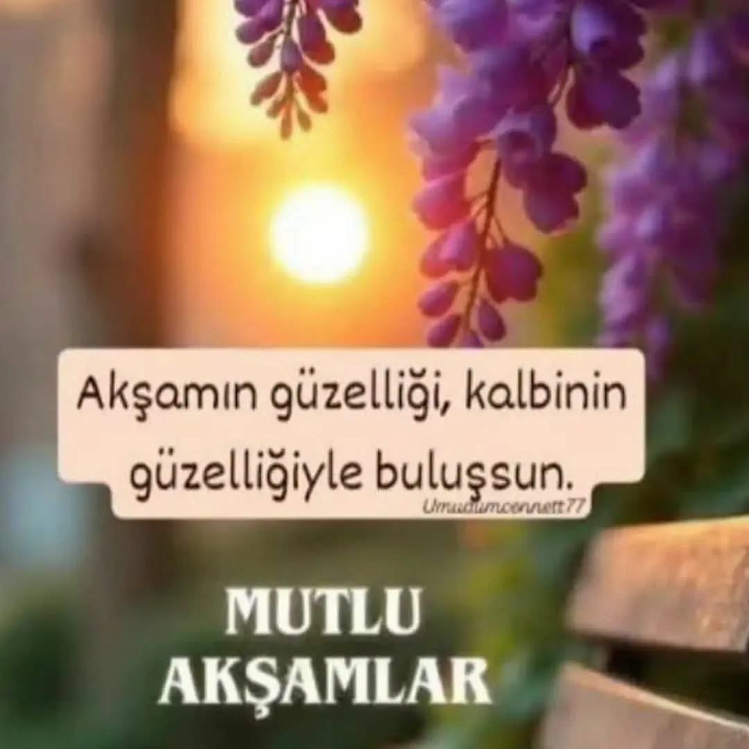 ZeynepNaz🦋 tweet media