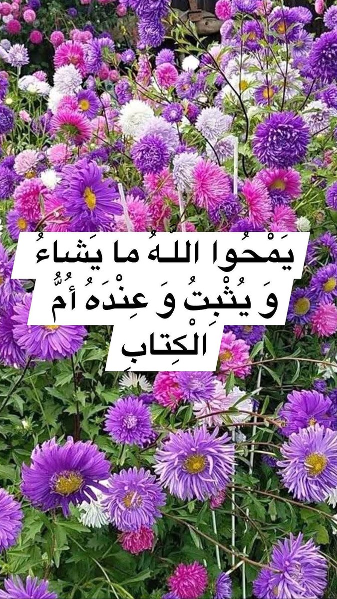 h92f56's tweet photo. بسم الله الرحمن الرحيم
(وَ يَقُولُ الَّذِينَ كَفَرُوا لَسْتَ مُرْسَلاً قُلْ كَفى بِاللَّـهِ شَهِيداً بَيْنِي وَ بَيْنَكُمْ وَ مَنْ عِنْدَهُ عِلْمُ الْكِتابِ)
صدق الله العلي العظيم https://t.co/OnEi9SLh5Y
