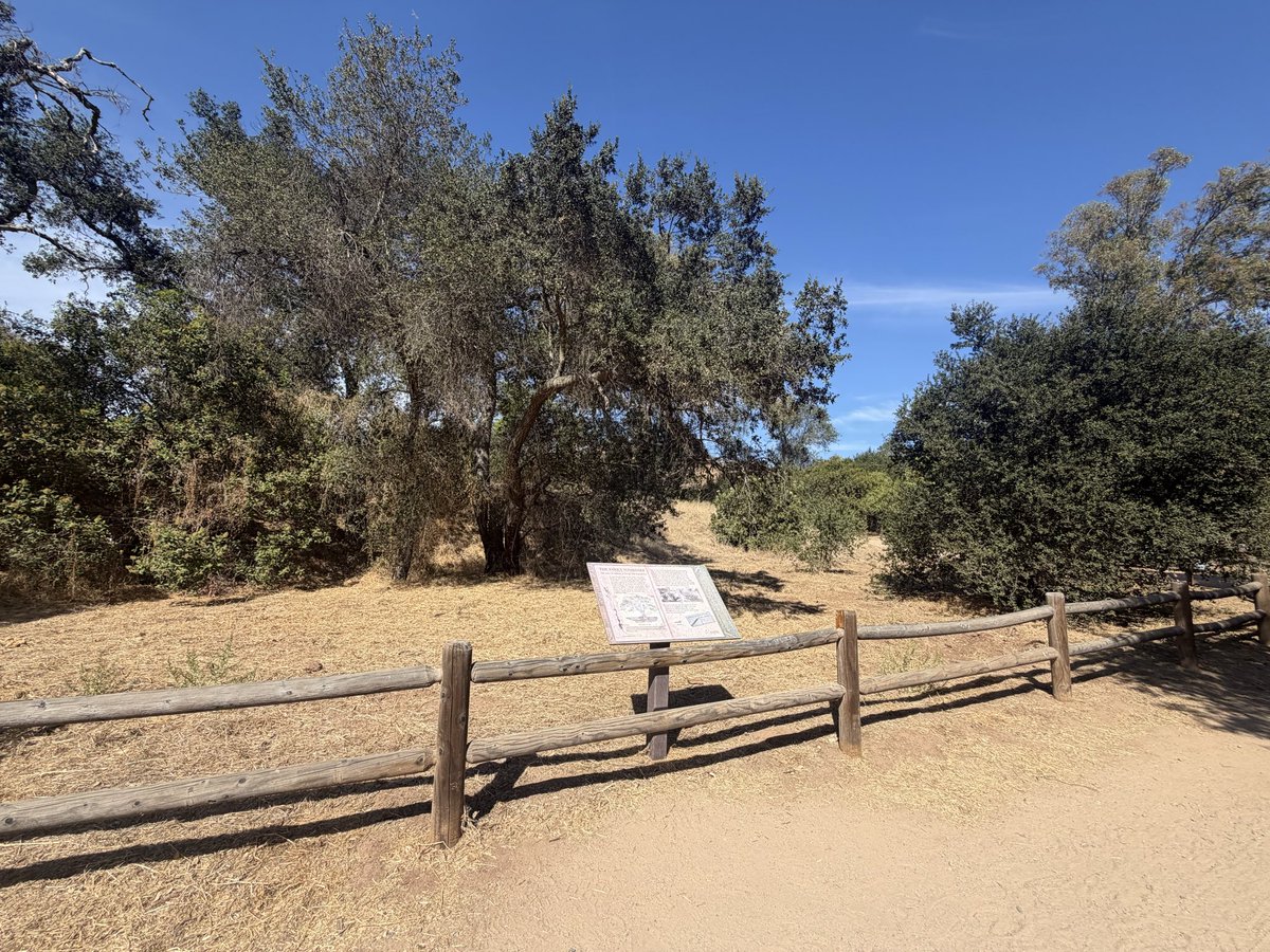 moeller4orange's tweet photo. District 6 Spotlight: Did you know? 🌳 
The oldest coastal live oak in Orange County (270+ yrs) at Santiago Oaks Park in D6. After the 2007 fire, new life sprouted from the charred trunk! 🌱 🍊 

#OrangeCA #ScenicSixth https://t.co/m30OHt2en1