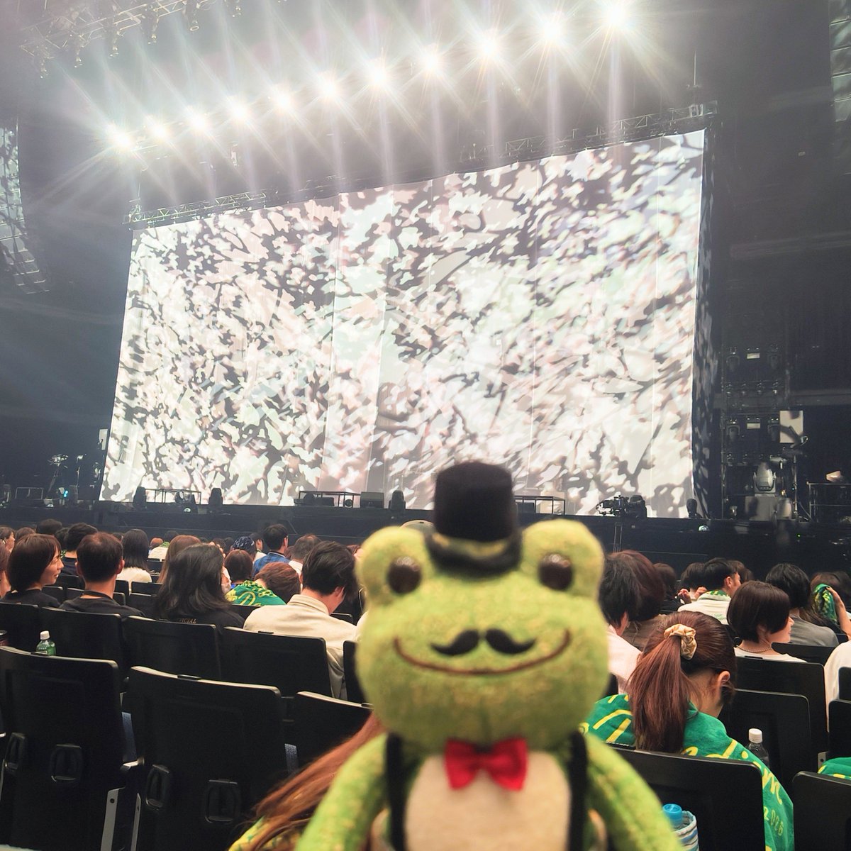 smilefrog358's tweet photo. ヒゲダンライブ、Kアリーナ行ってきました😆今回は席にも恵まれて、さとっちゃんのパワフルかつ繊細な歌声を思いっきり浴びることができました💖ヒゲダンを好きになったキッカケの曲もやってくれて嬉しかった😭💞やっぱライブって一番元気もらえる🙌最高の時間でした🌟
#Offcial髭男dism 
#髭団かえる https://t.co/fMzd6OFv1L