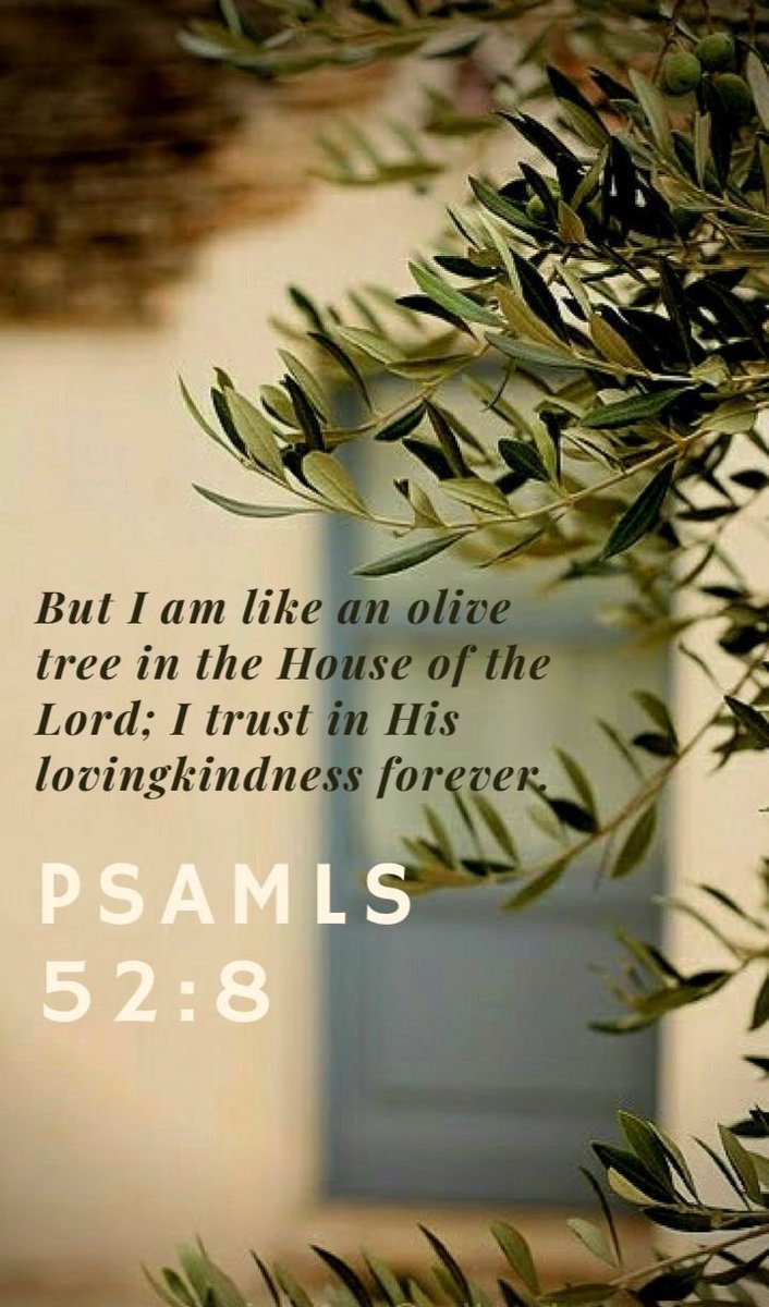 GodSpeaksDaily1 tweet picture