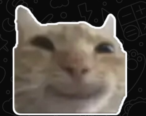 mrnerdwonu's tweet photo. ini kucing yah????? first pic is literally giving https://t.co/d8cbrtbQBC